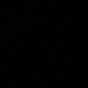 Meet your Posher, Leo